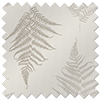 Delicate Ferns, Brown - Roller Blind